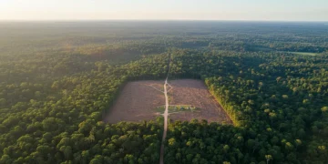 Meio Ambiente 2026: Novas Regras para Desmatamento e Amazônia Vista aérea da Amazônia com áreas de floresta densa e um pequeno ponto de desmatamento, representando as novas regulamentações de 2026.